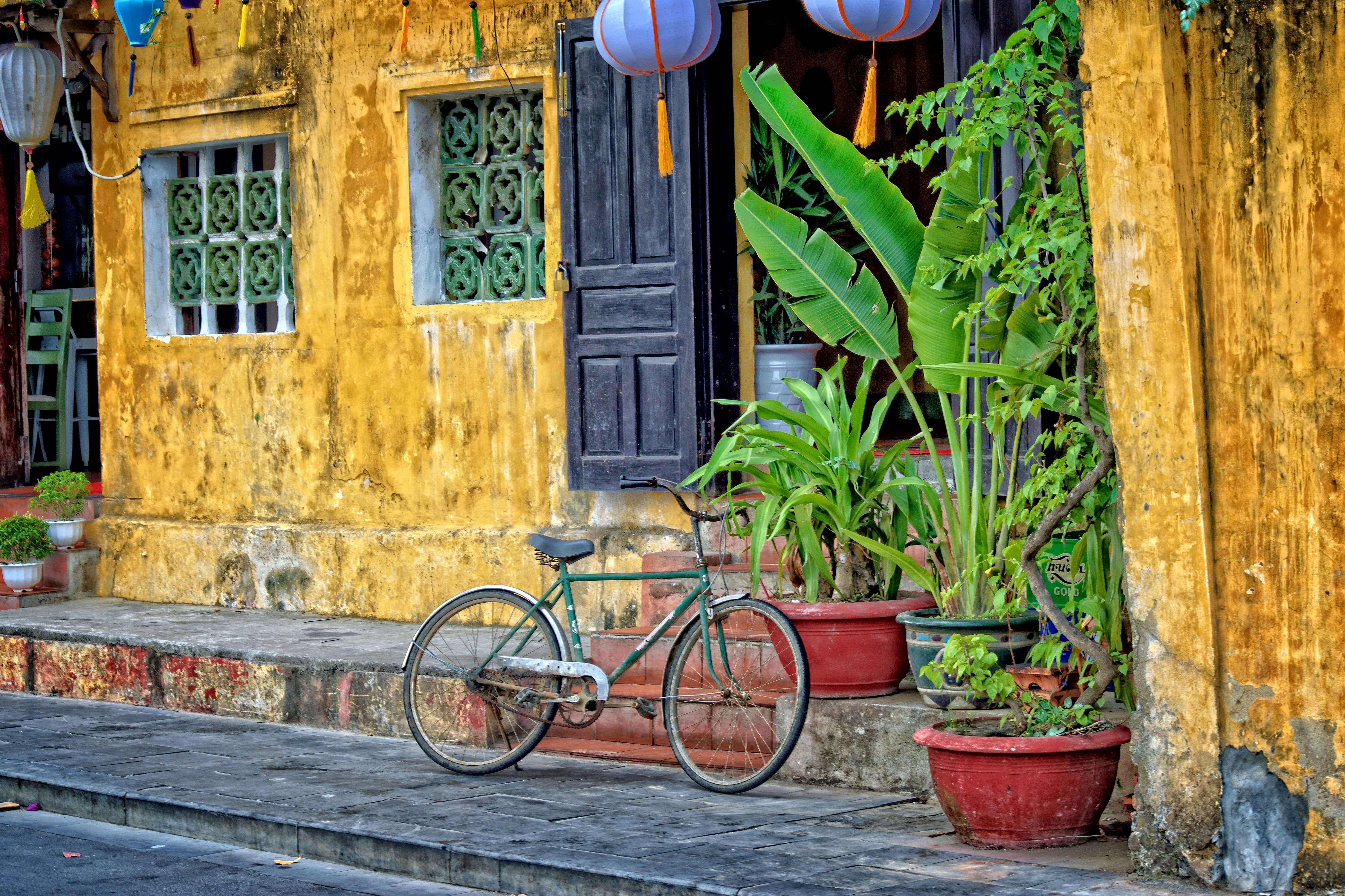 Vietnam journey showcasing misty rice terraces, historic streets of Hanoi, and glowing lanterns in Hội An at dusk